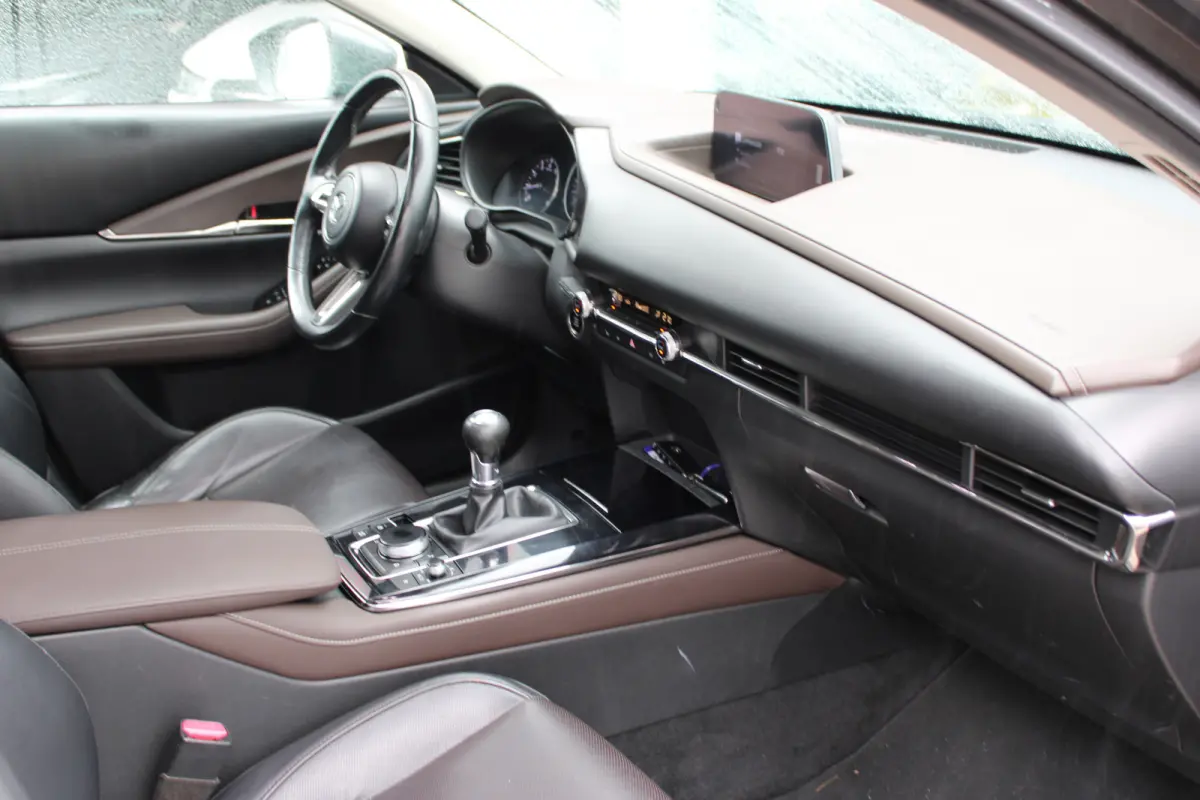 2.0 e-SkyActiv-X M Hybrid Luxury