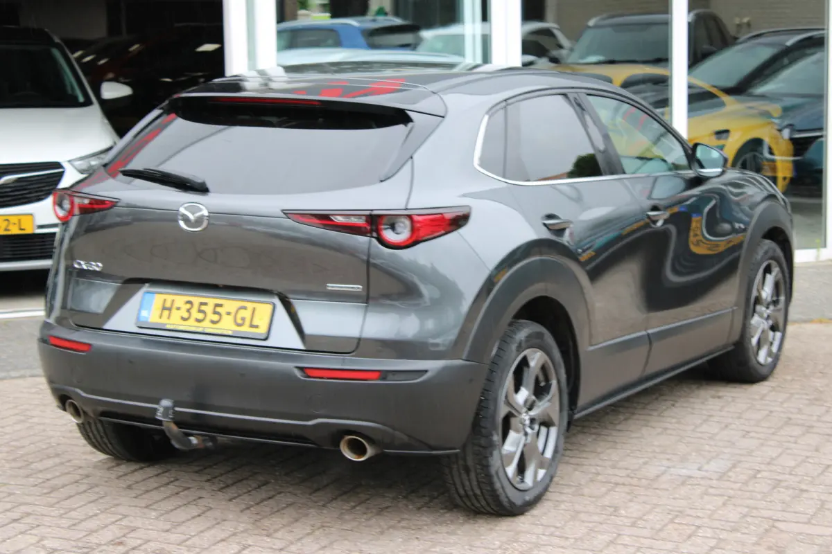 2.0 e-SkyActiv-X M Hybrid Luxury