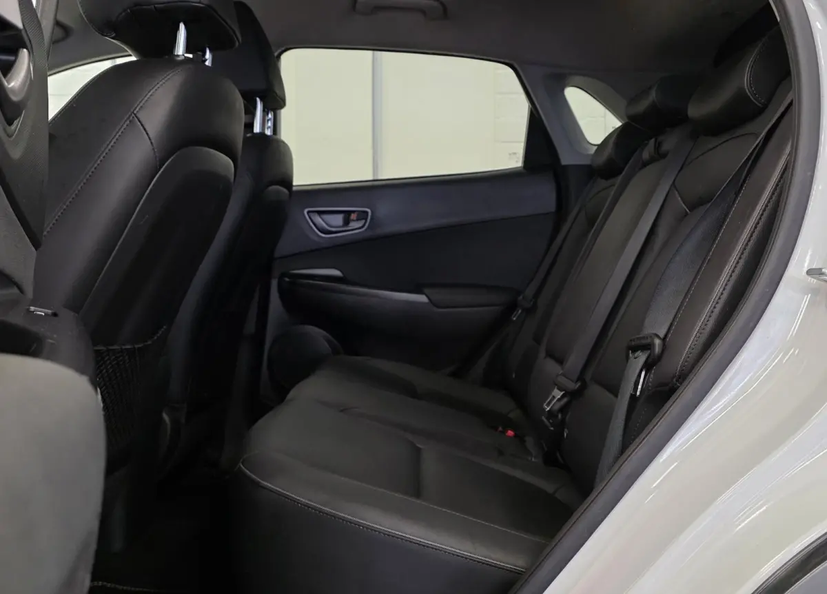 EV Premium 64 kWh Trekhaak SOH 92% Lerenbekleding Camera