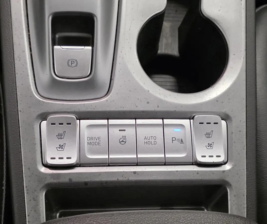 EV Premium 64 kWh Trekhaak SOH 92% Lerenbekleding Camera