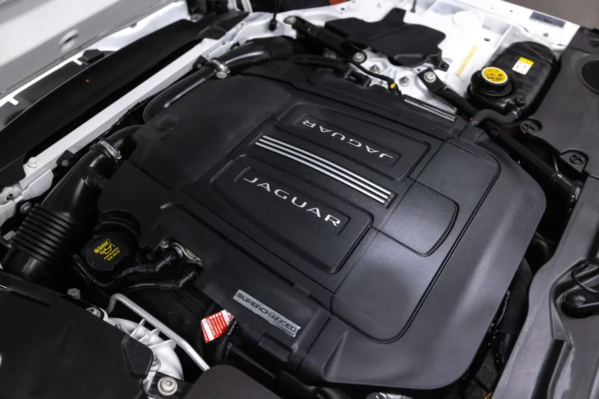 5.0 V8 R