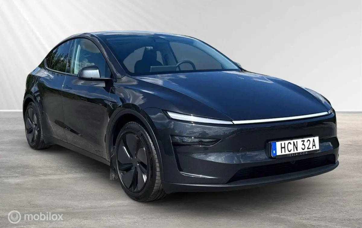 Premium Long Range AWD 75 kWh, trekh, winterb
