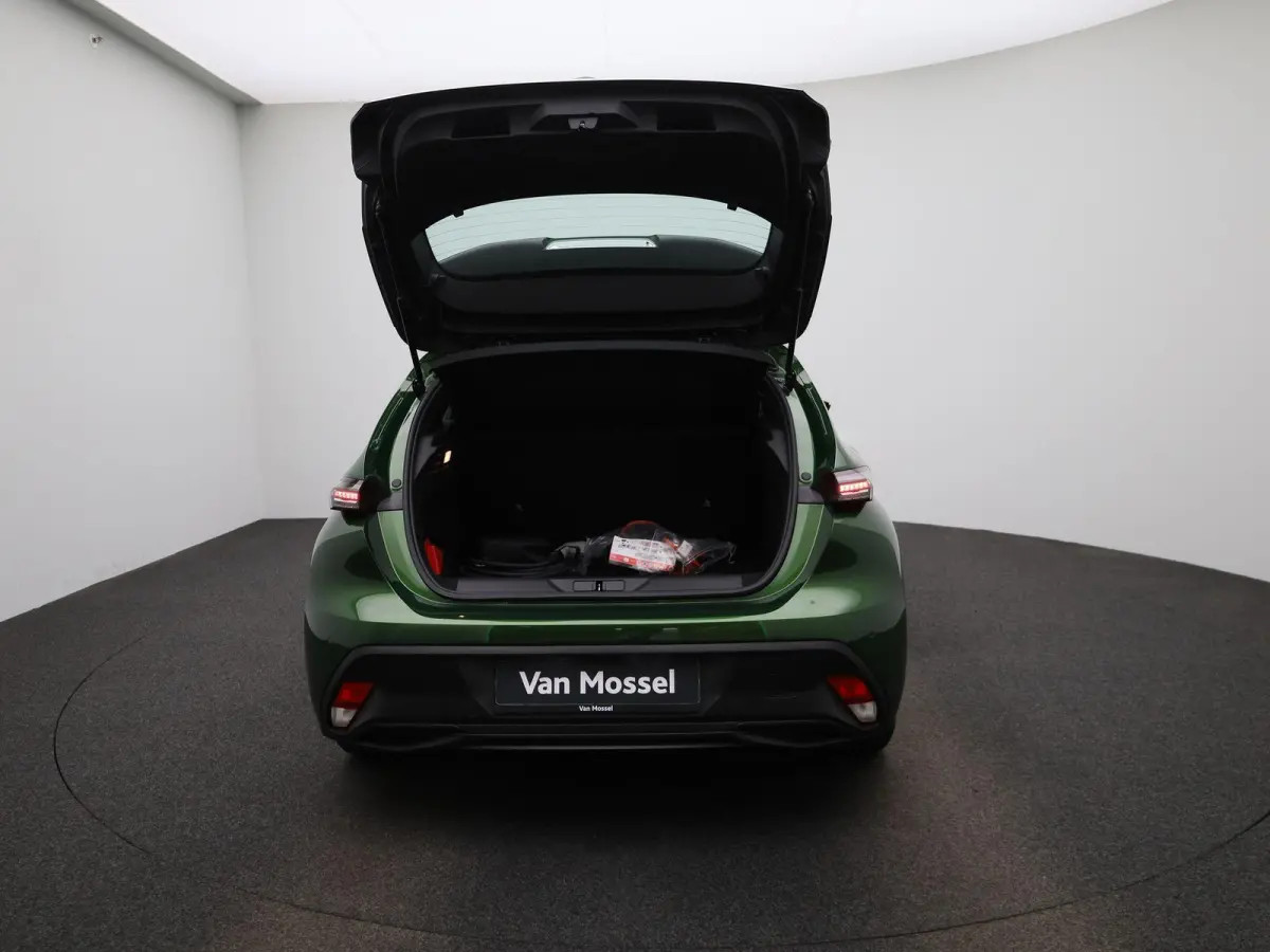 1.6 Plug-in Hybrid 180 Active Pack Business | NAVIGATIE | APPLE CARPLAY - ANDROID AUTO | CLIMATE CONTROL | CRUISE CONTROL | PARKEENSENSOREN ACHTER | LICHTMETALEN VELGEN | LED VERLICHTING | D