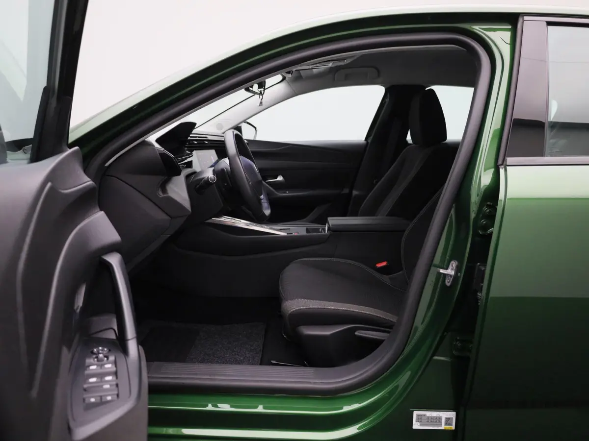 1.6 Plug-in Hybrid 180 Active Pack Business | NAVIGATIE | APPLE CARPLAY - ANDROID AUTO | CLIMATE CONTROL | CRUISE CONTROL | PARKEENSENSOREN ACHTER | LICHTMETALEN VELGEN | LED VERLICHTING | D