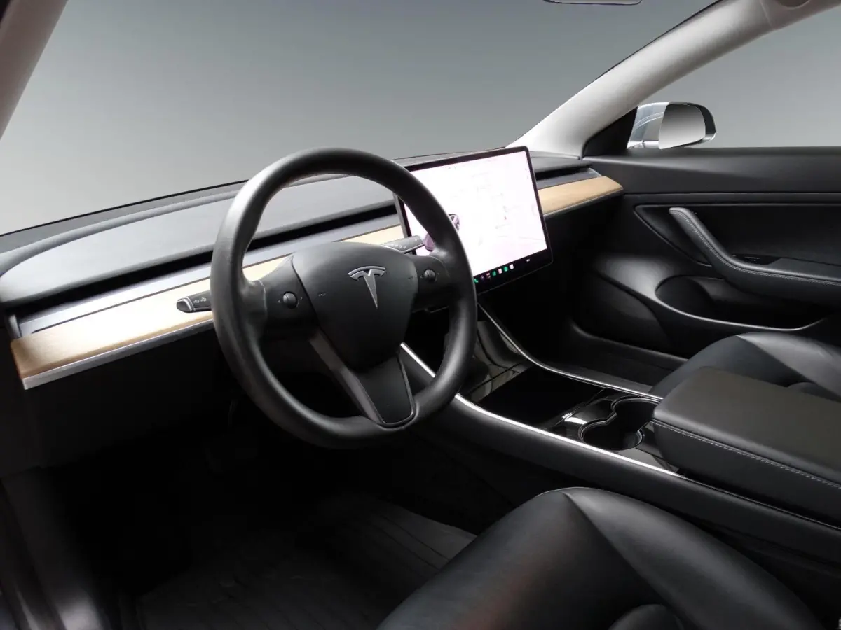 Standard RWD Plus 60 kWh Trekhaak / SOH 92.3%