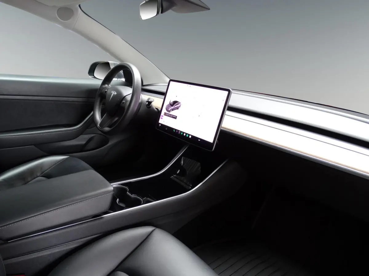 Standard RWD Plus 60 kWh Trekhaak / SOH 92.3%