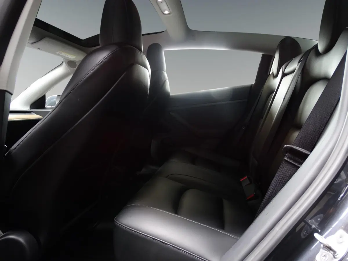 Standard RWD Plus 60 kWh Trekhaak / SOH 92.3%
