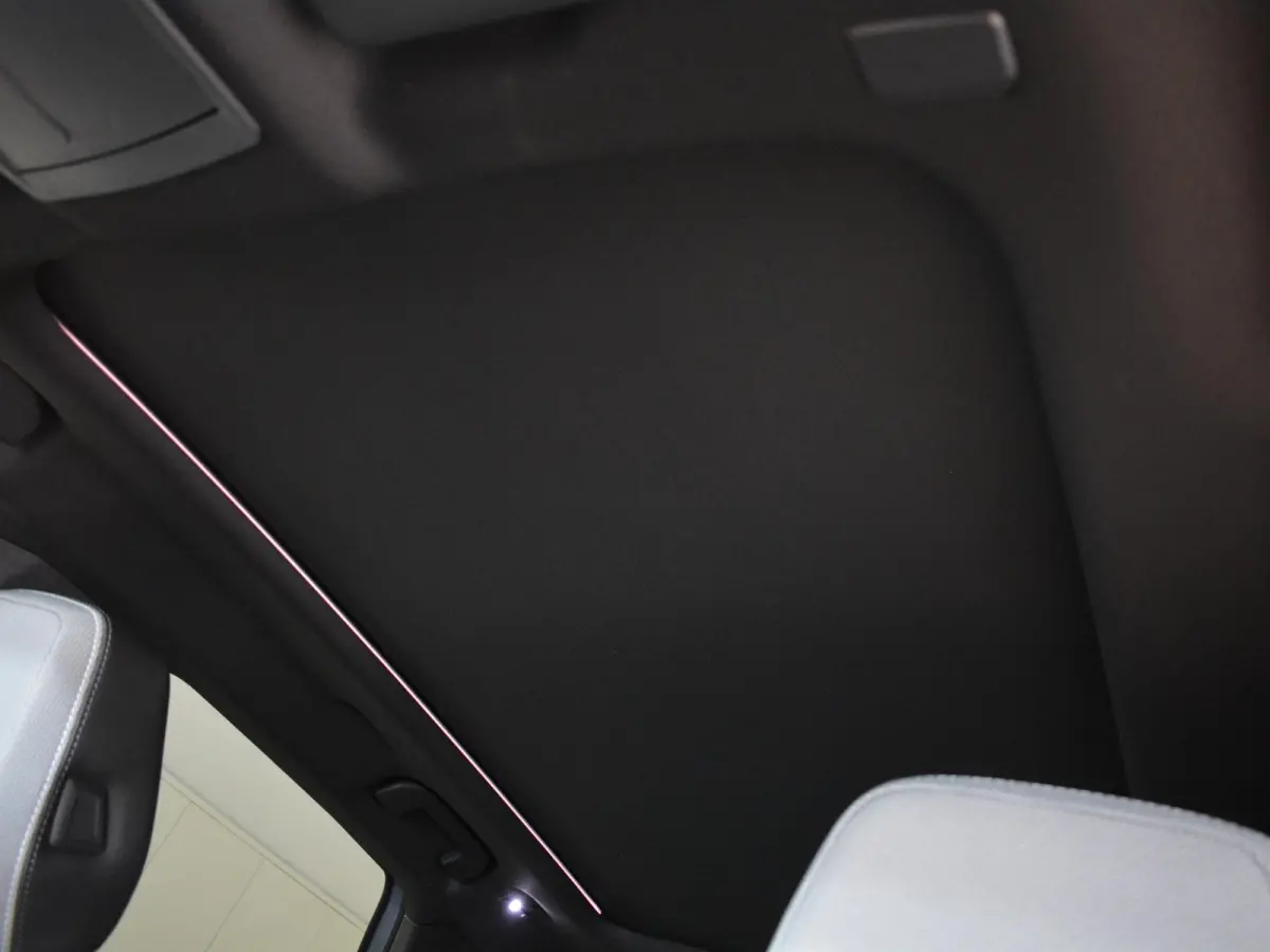 GS 73 kWh | Panorama dak | Camera | Apple Carplay/Android Auto