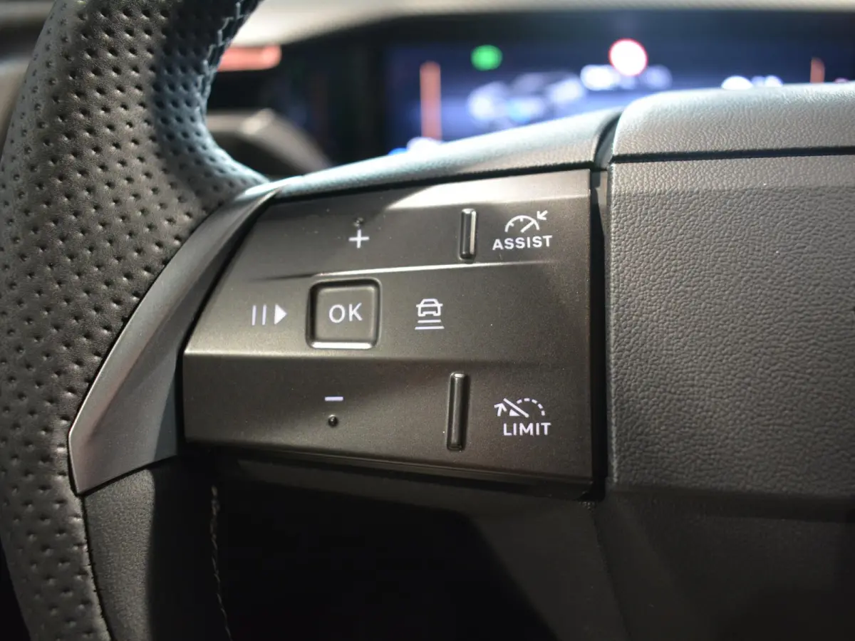 GS 73 kWh | Panorama dak | Camera | Apple Carplay/Android Auto