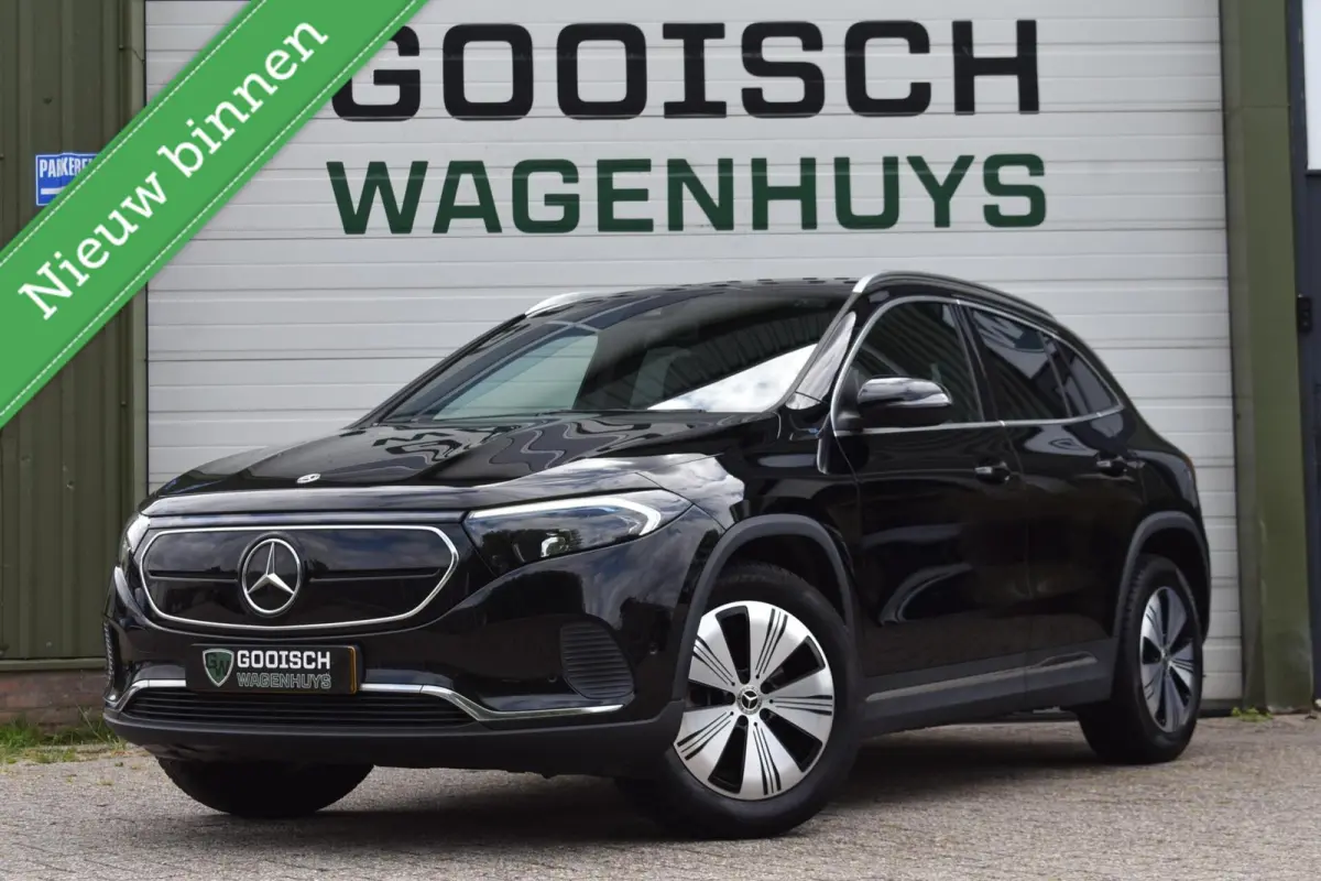 250 Business Solution Luxury 67 kWh| SOH 95,6 % | Sfeerverlichting | Camera | Stoelverwarming |