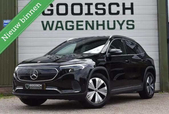 250 Business Solution Luxury 67 kWh| SOH 95,6 % | Sfeerverlichting | Camera | Stoelverwarming |