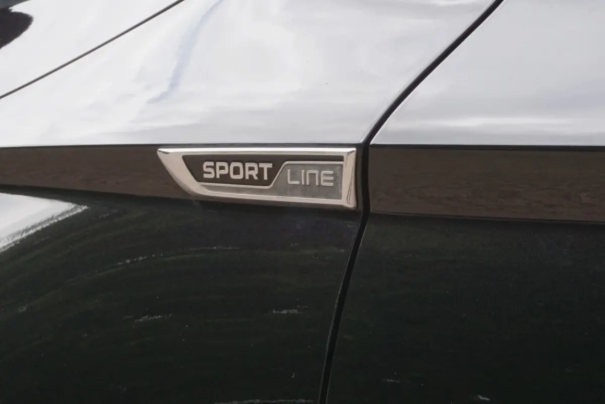 1.5 TSI ACT Sportline Business Camera/Navi/App-Connect!