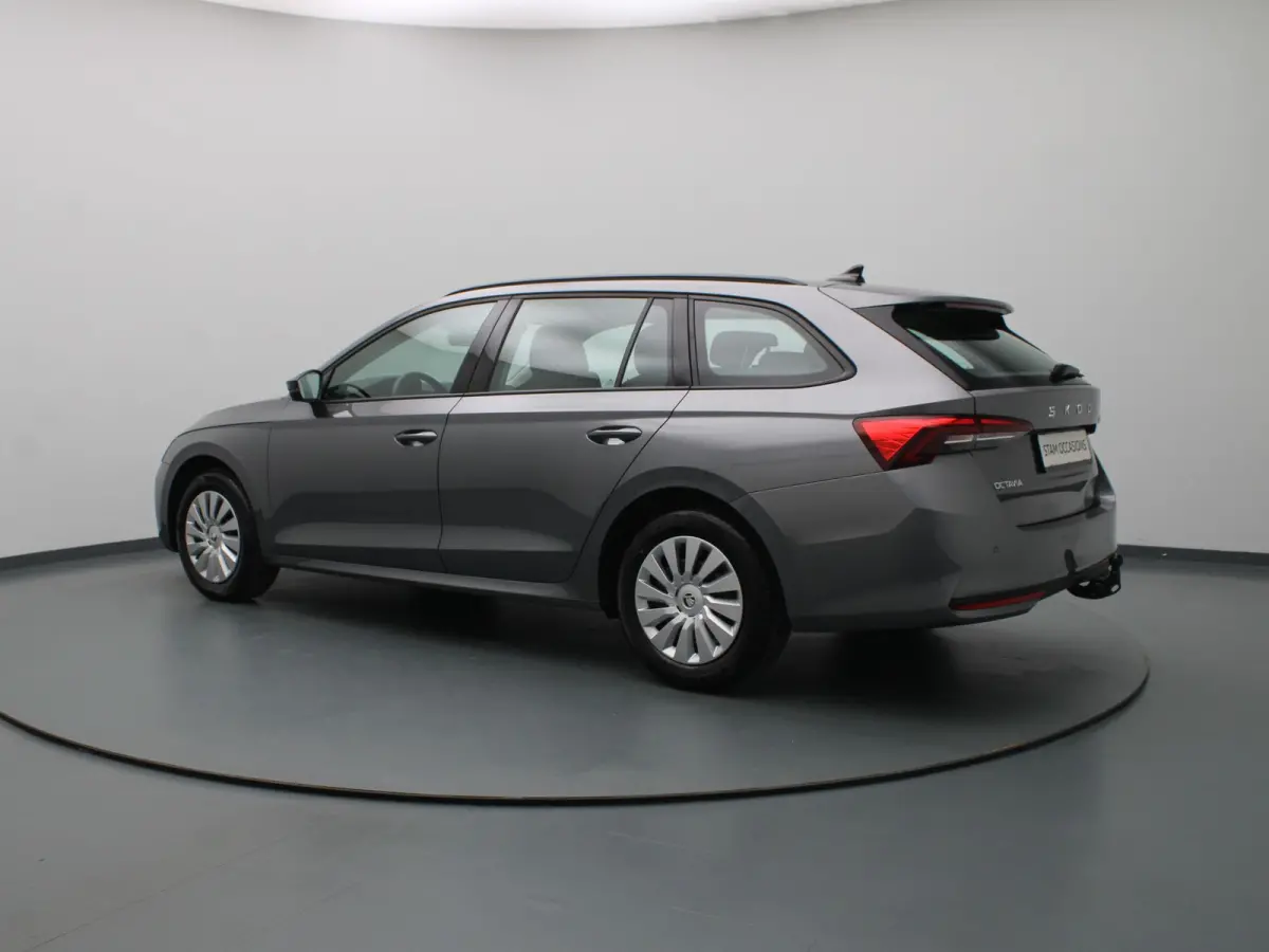 115pk TSI MHEV Business Edition Plus Apple Carplay/Android Auto | Trekhaak elektrisch.