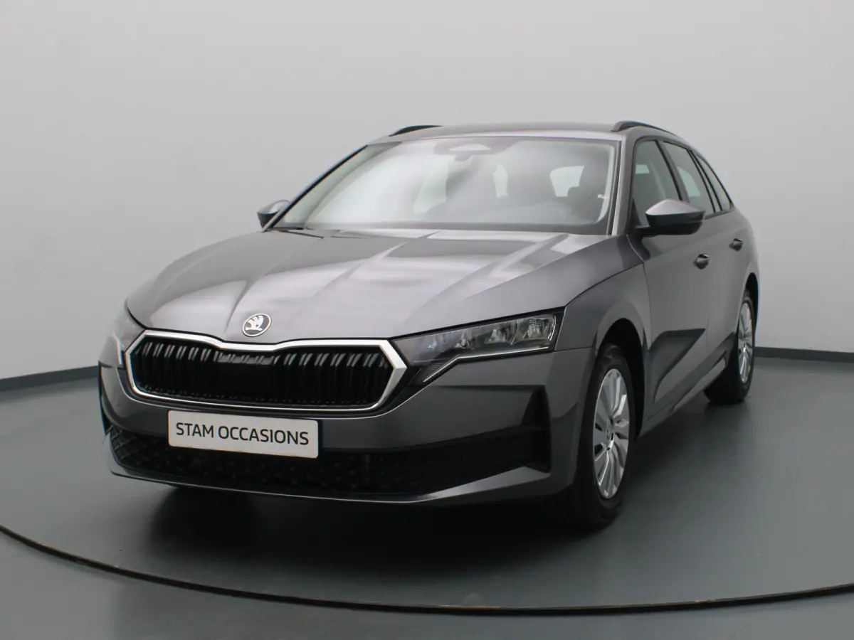 115pk TSI MHEV Business Edition Plus Apple Carplay/Android Auto | Trekhaak elektrisch.