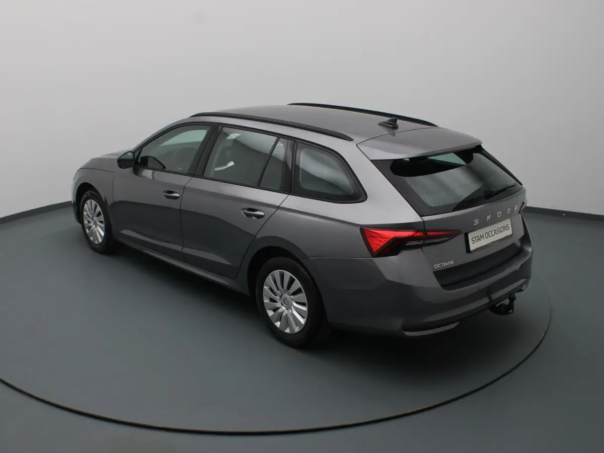 115pk TSI MHEV Business Edition Plus Apple Carplay/Android Auto | Trekhaak elektrisch.