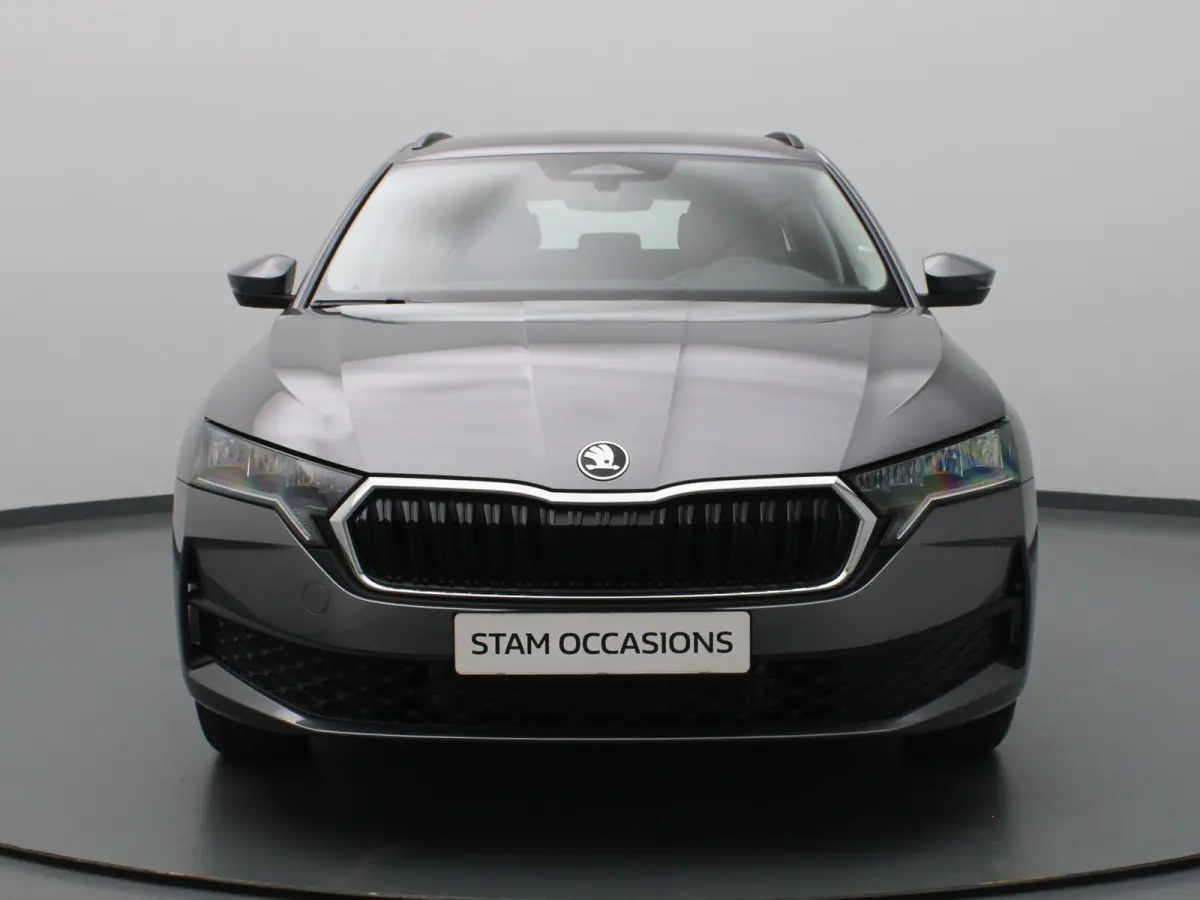 115pk TSI MHEV Business Edition Plus Apple Carplay/Android Auto | Trekhaak elektrisch.