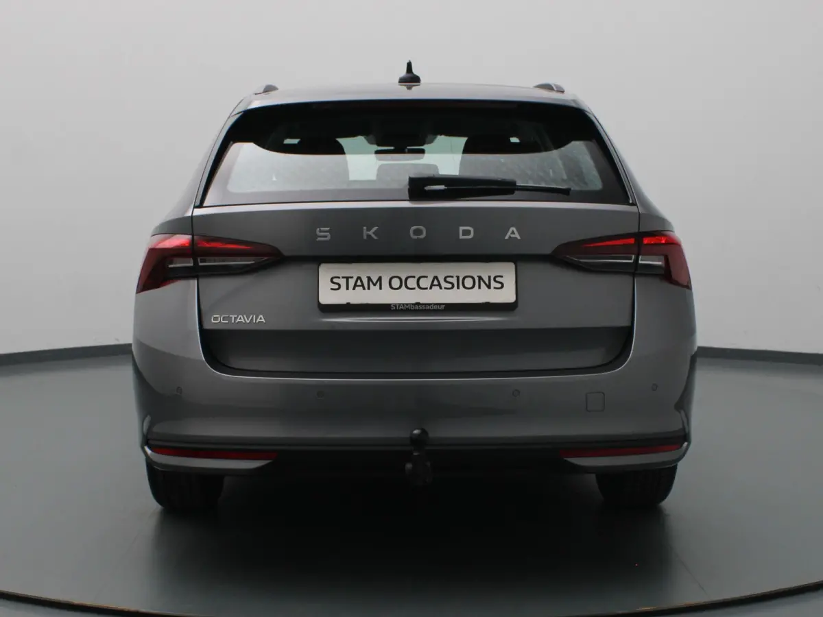 115pk TSI MHEV Business Edition Plus Apple Carplay/Android Auto | Trekhaak elektrisch.