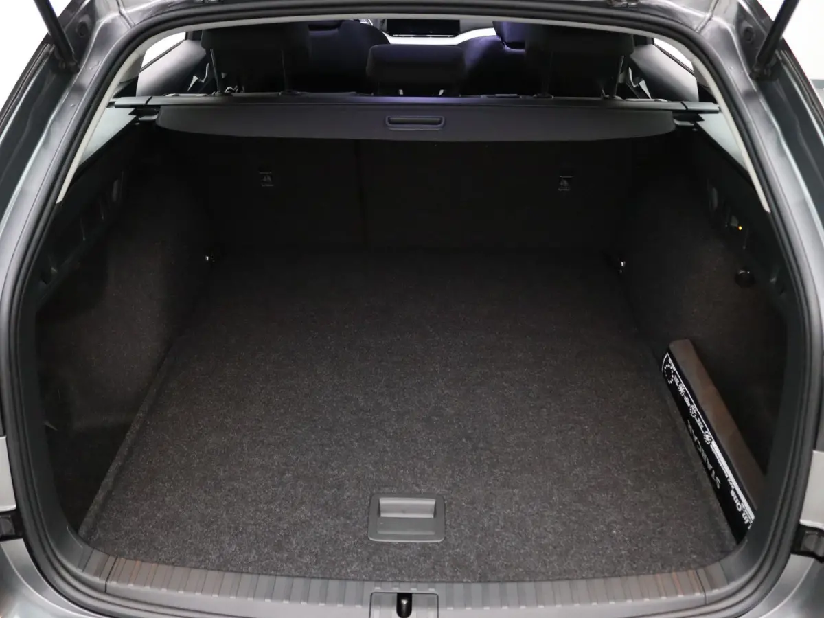 115pk TSI MHEV Business Edition Plus Apple Carplay/Android Auto | Trekhaak elektrisch.