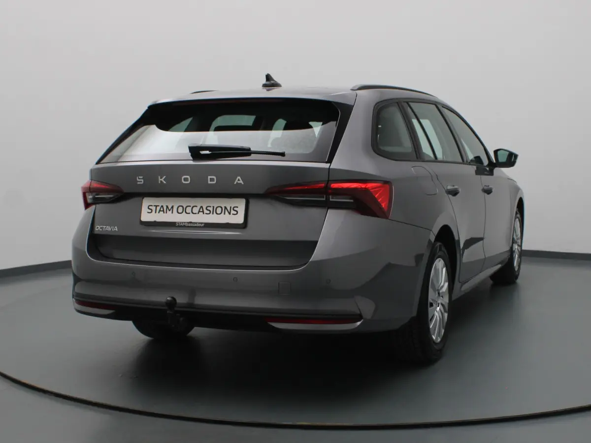 115pk TSI MHEV Business Edition Plus Apple Carplay/Android Auto | Trekhaak elektrisch.
