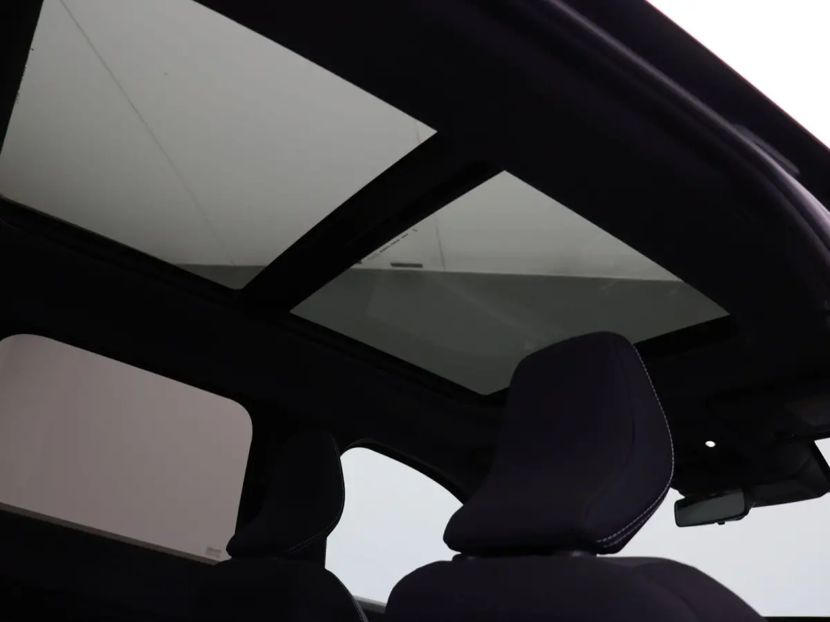 Hybrid 155pk Limited Edition | Stoel- en stuurverwarming | Voorruitverwarming | Panoramisch dak |