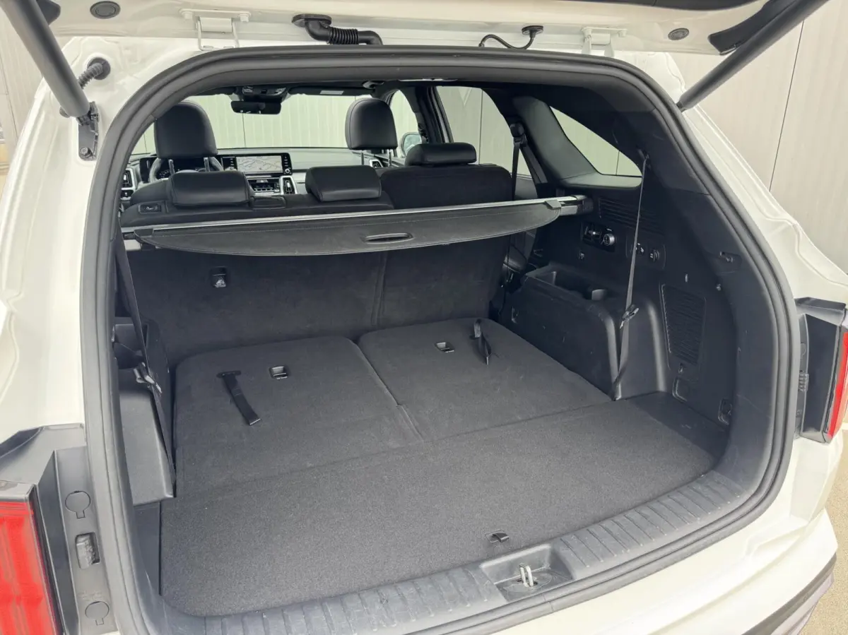 1.6 T-GDI Plug-in Hybrid 4WD ExecutiveLine 7p.
