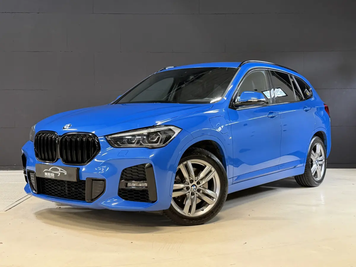 xDrive25e High Executive | M-pakket | Camera | Afn. trekhaak | Leder | Sfeerverlichting | Full LED