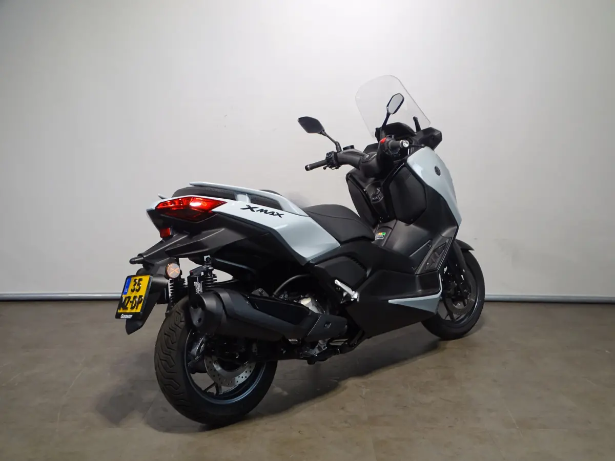 X-MAX 300 TECH MAX +