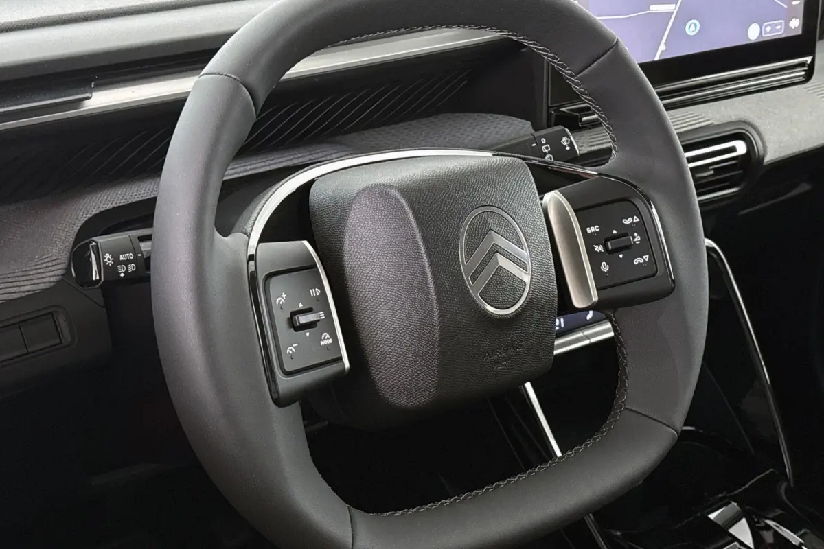 Max 113pk Extended Range 54 kWh Winterpakket Camera Carplay All Season banden