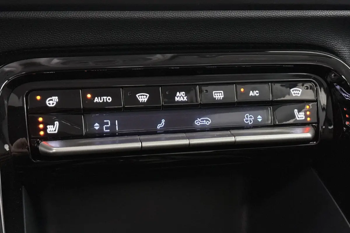 Max 113pk Extended Range 54 kWh Winterpakket Camera Carplay All Season banden