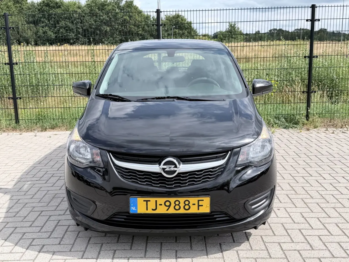 1.0 ecoFLEX Edition Airco | Bluetooth | Cruise Control