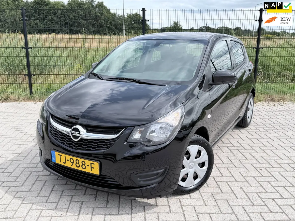 1.0 ecoFLEX Edition Airco | Bluetooth | Cruise Control