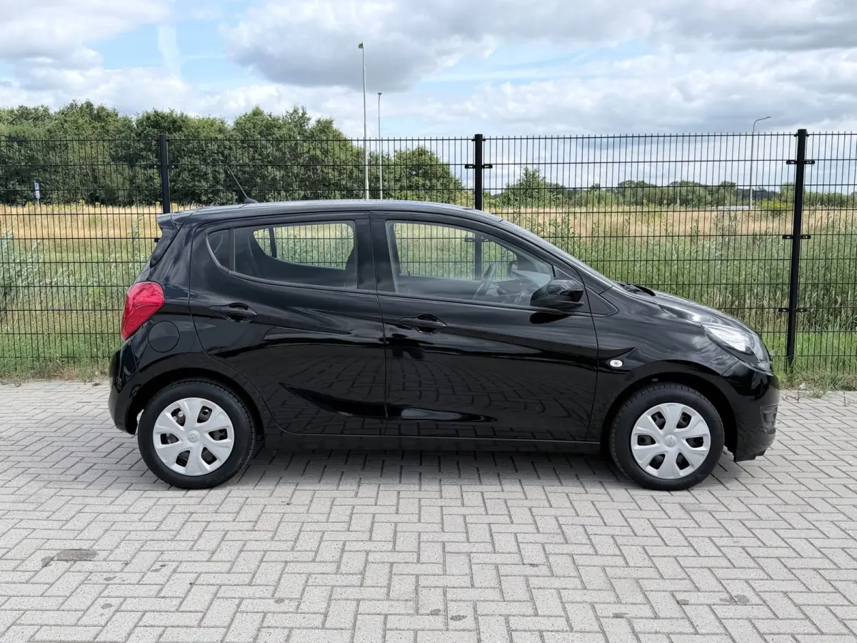 1.0 ecoFLEX Edition Airco | Bluetooth | Cruise Control