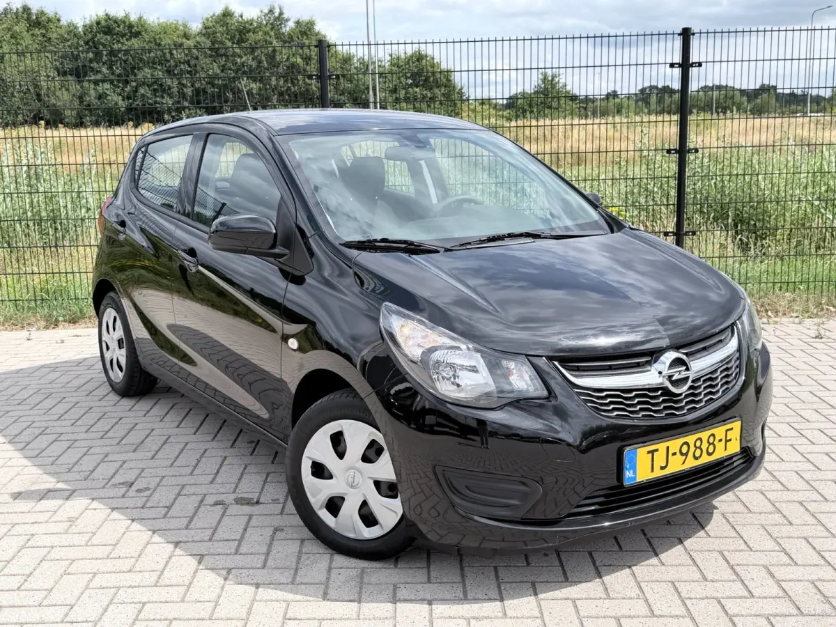 1.0 ecoFLEX Edition Airco | Bluetooth | Cruise Control