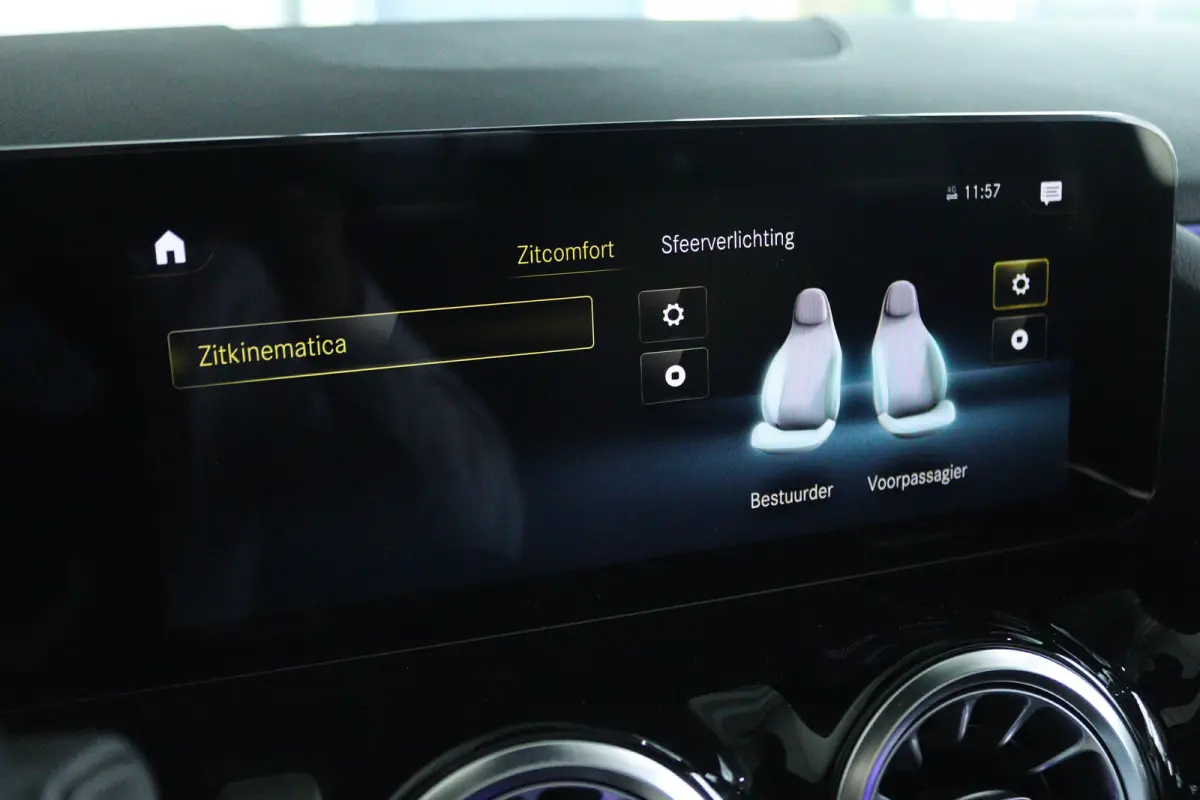 250+ Business Edition 71 kWh | Soh 100% | Cruise Control | Schuifdak | Memory | Stoelverwarming | Elektr. Stoelen | Keyless | Navi | 360 Camera | Massage