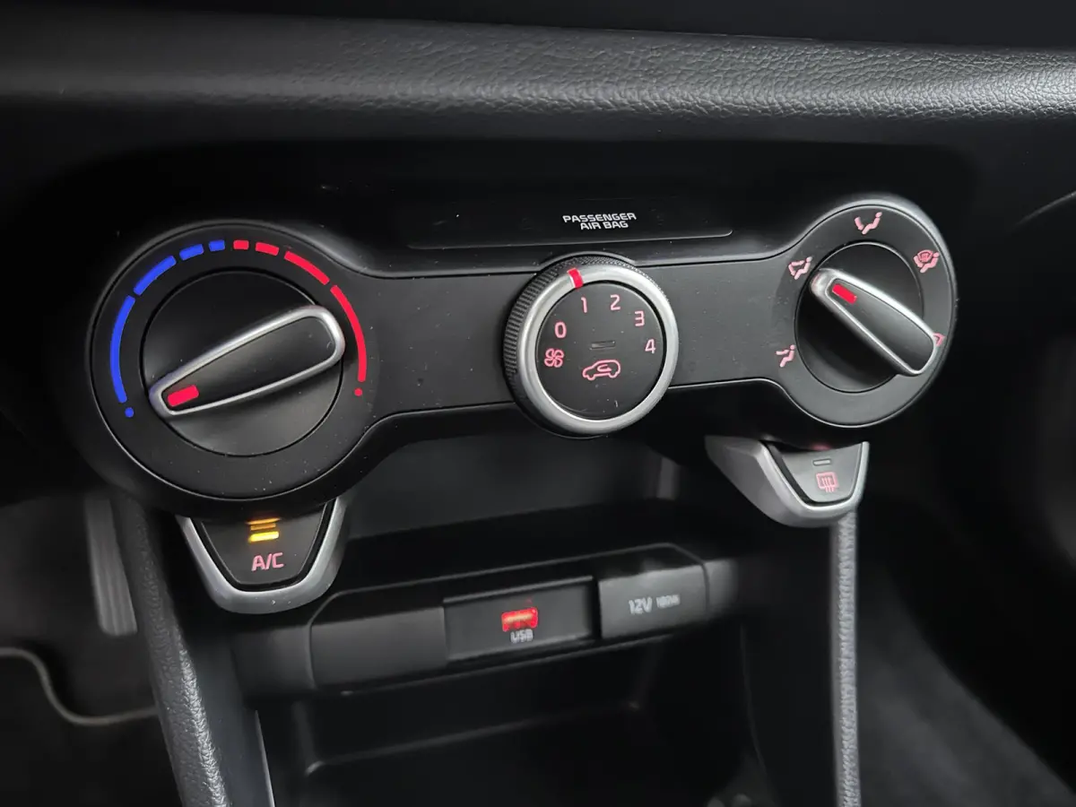 1.0 DPi DynamicLine Navigatie Apple Carplay/Android Auto Camera Cruise Control Lichtmetalen velgen Airco