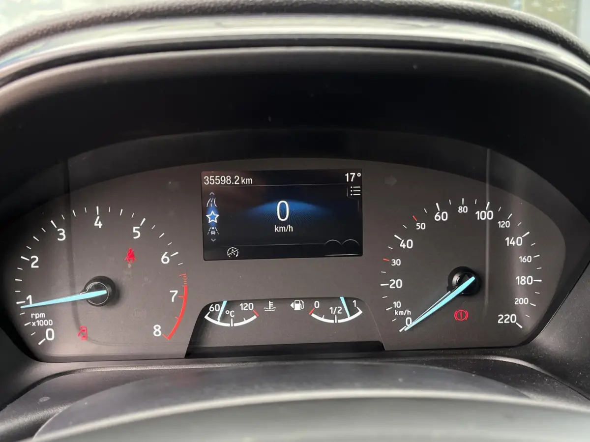 1.0 EcoBoost Hybrid ST-Line 125PK Cruise Carplay-Navi Climate Parkeersensoren Achter 17'' Velgen Privacy Glass *Sportief*
