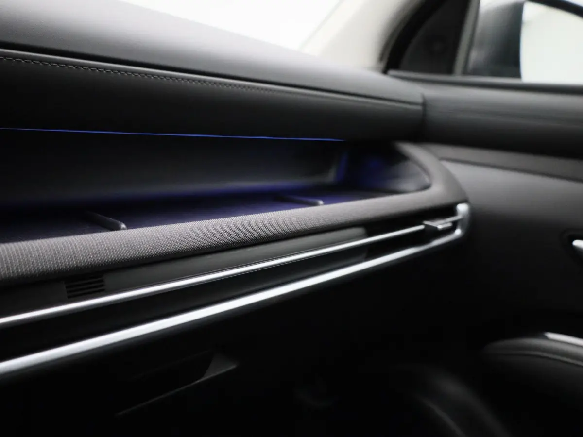 1.6 T-GDI PHEV Premium | LEER | CAMERA | STOEL-STUURWIELVERWARMING | STOELVERKOELING | NAVIGATIE | KRELL AUDIO