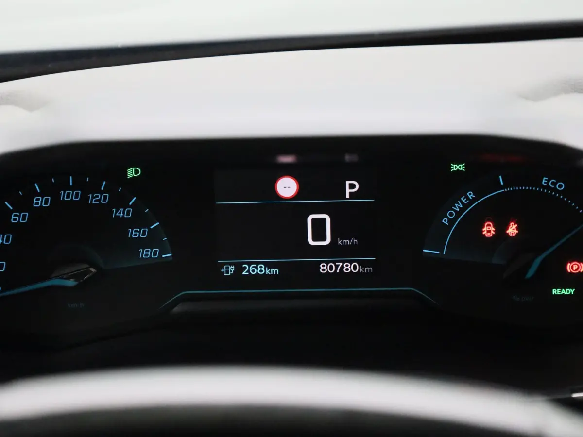 EV Active Pack 50 kWh | 93% SOH | Cruise Control | Keyless | Apple Carplay/Android Auto | Navigatie | DAB |