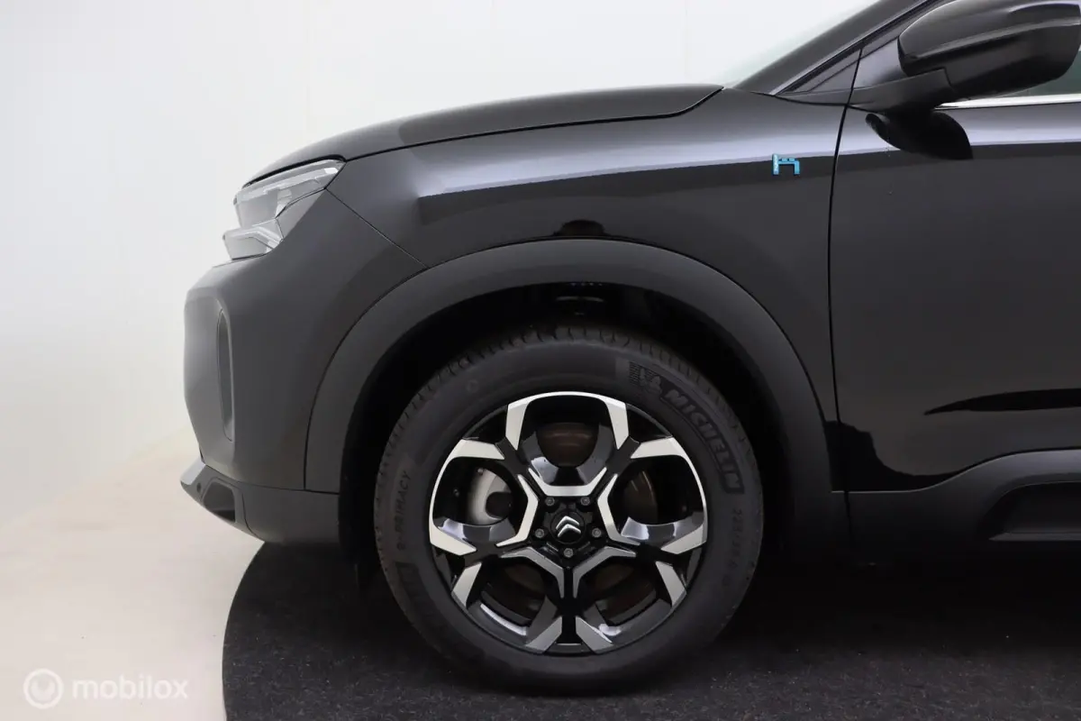 1.6 Plug-in Hybrid 225pk Max