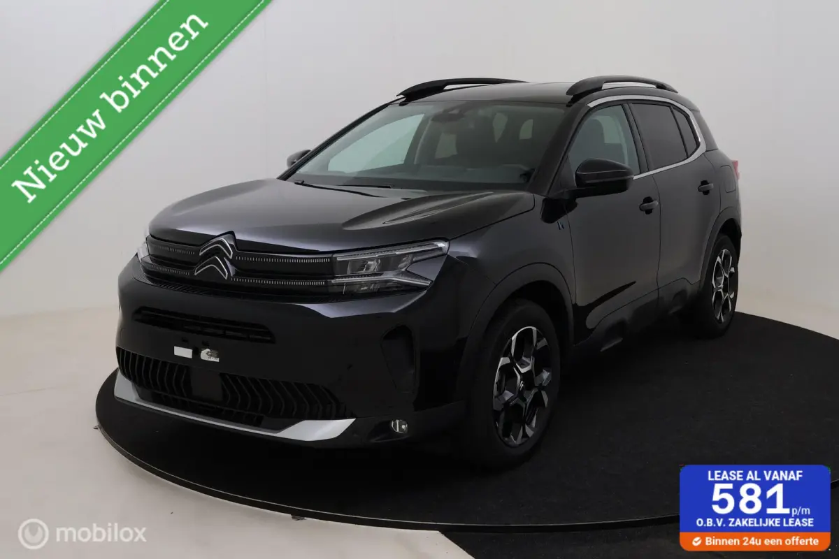 1.6 Plug-in Hybrid 225pk Max