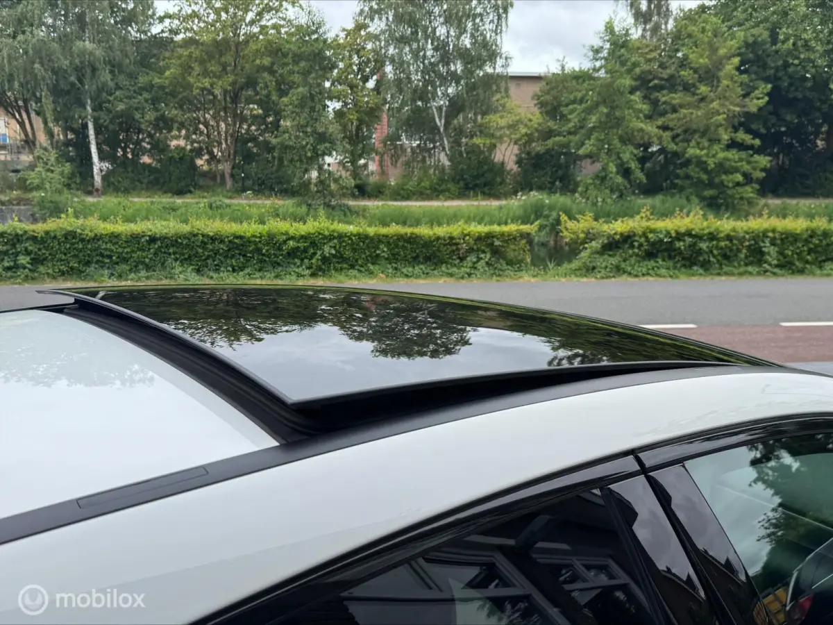250 Premium Plus