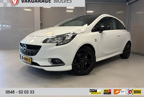 Color Edition OPC-line 1.0 Turbo | Cruise control | 17" Lichtmetalen velgen |