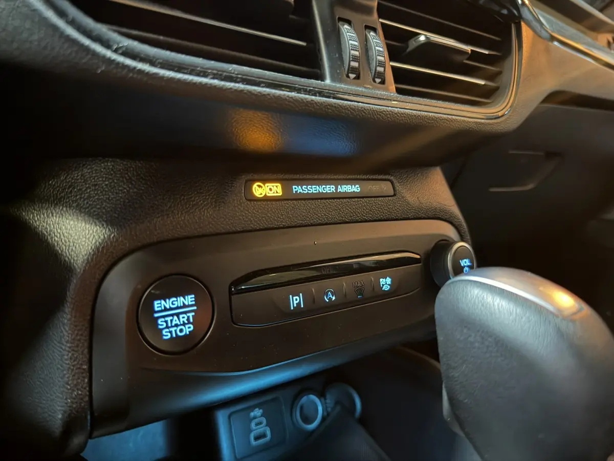 1.0 EcoBoost Mild-Hybrid ST-Line | Automaat | StuurVW | StoelVW | CarPlay | Navi | LED | PDC | Rijklaar