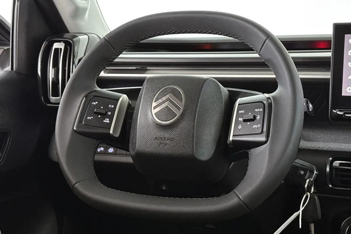 Max 113pk Comfort Range 44 kWh Camera Apple CarPlay Dodehoek