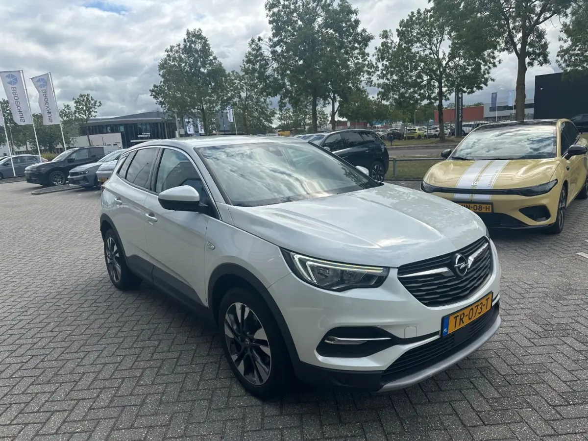 1.2 Turbo Business Executive | Apple Carplay/Android Auto|telefoonintegratie premium | Comfortstoel(en) | Cruise control
