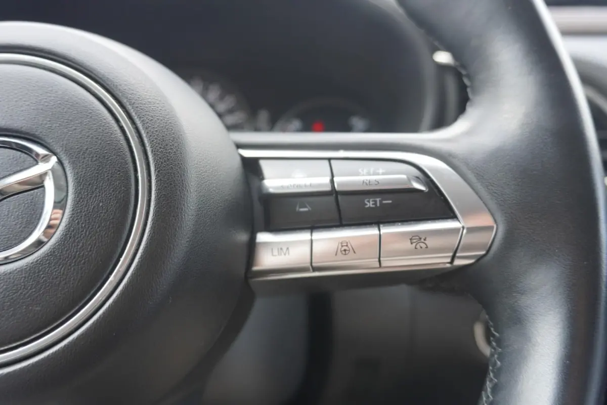 2.0 e-SkyActiv-X 180pk M Hybrid Luxury | Trekhaak | Lederen Bekleding | Panoramdak | Bose Audio