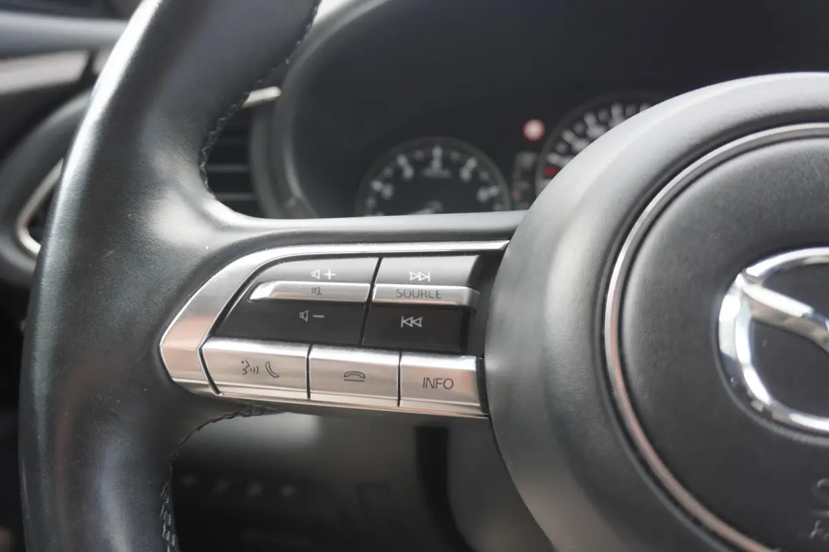 2.0 e-SkyActiv-X 180pk M Hybrid Luxury | Trekhaak | Lederen Bekleding | Panoramdak | Bose Audio