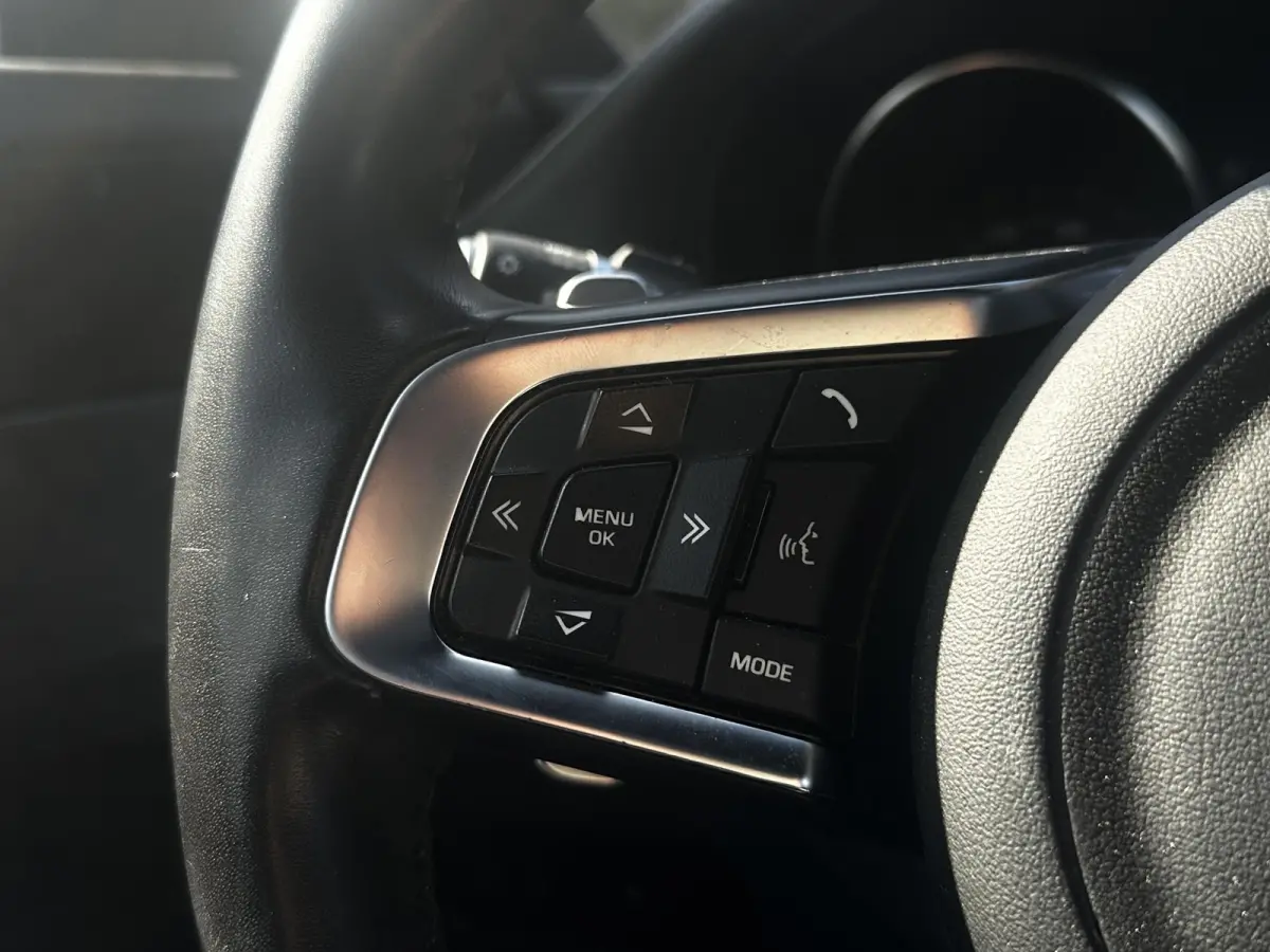 2.0d Chequered Flag R Sport Panoramadak Carplay Stoelverw.