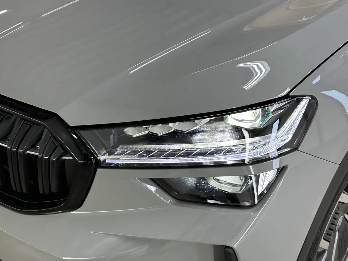 1.5 TSI PHEV Sportline | Pano | Comfort- Winter pakket | Canton |
