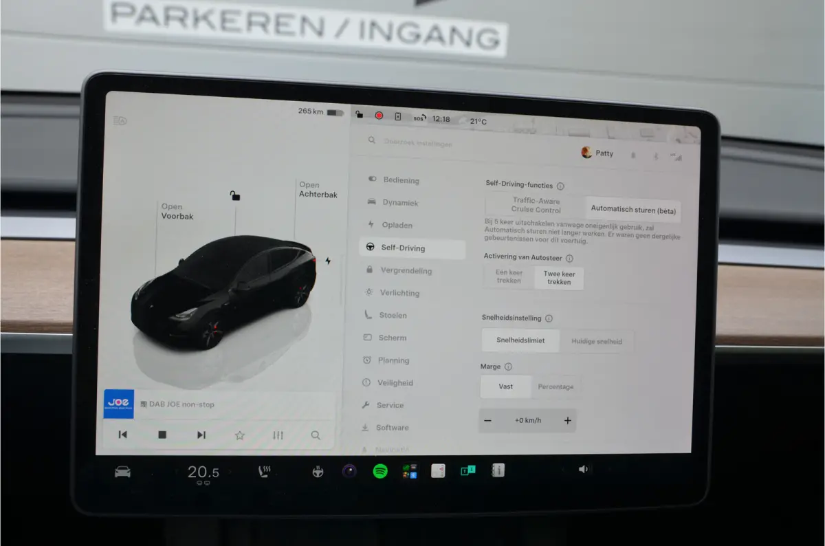 Performance AWD 75 kWh Trekhaak (max 1.600kg), AutoPilot3.0 Ryzen